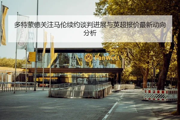 多特蒙德关注马伦续约谈判进展与英超报价最新动向分析